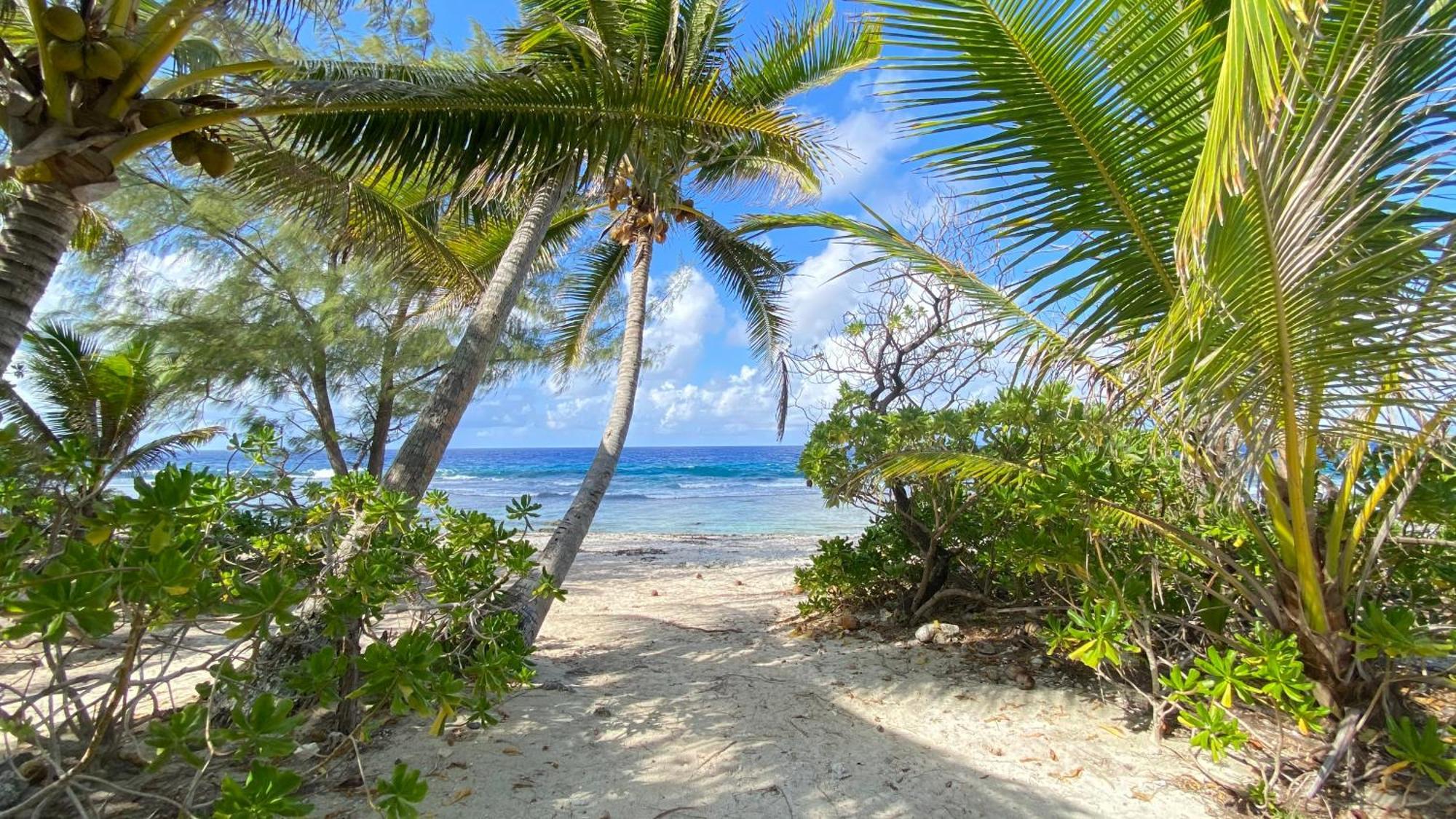 Moorea Chill And Beach Lodge Teavaro 외부 사진